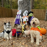 Entry image for Tory, Marlee, Zoey & Sunny all dressed up
