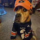 Entry image for Sweet Georgia Brown 