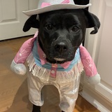 Entry image for Miss Ada