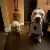 Entry image for Tyson 