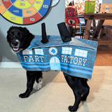 Entry image for Love stinks- adopt anyway!