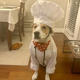 Entry image for Beckham