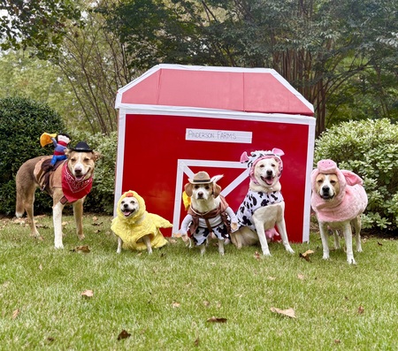 Entry image for Anderson Farm. Clicking this image will show a larger photo