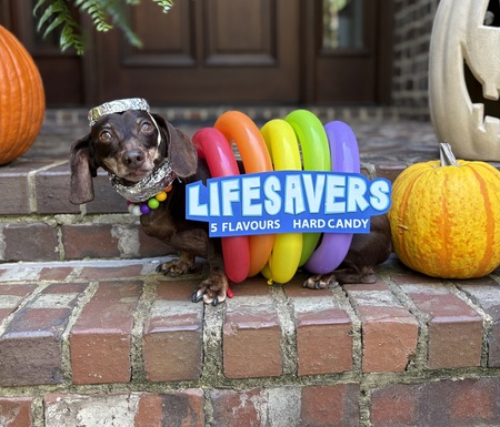 Entry image for Maddie Mae . Clicking this image will show a larger photo