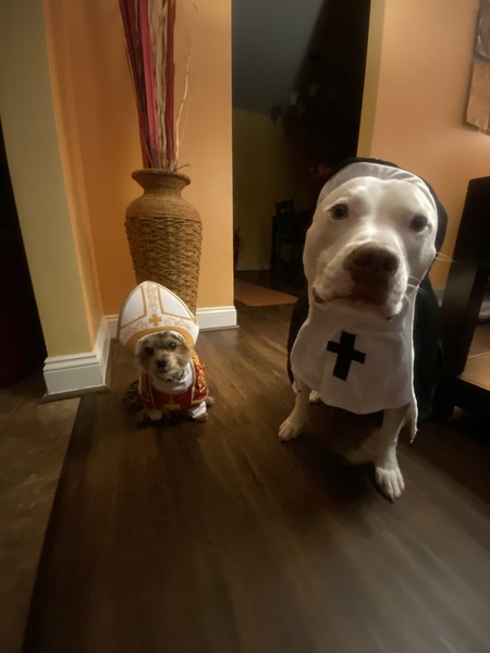 Entry image for Tyson . Clicking this image will show a larger photo