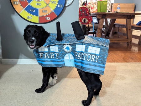 Entry image for Love stinks- adopt anyway!. Clicking this image will show a larger photo