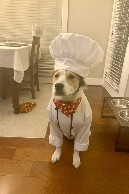 Entry image for Beckham. Clicking this image will show a larger photo