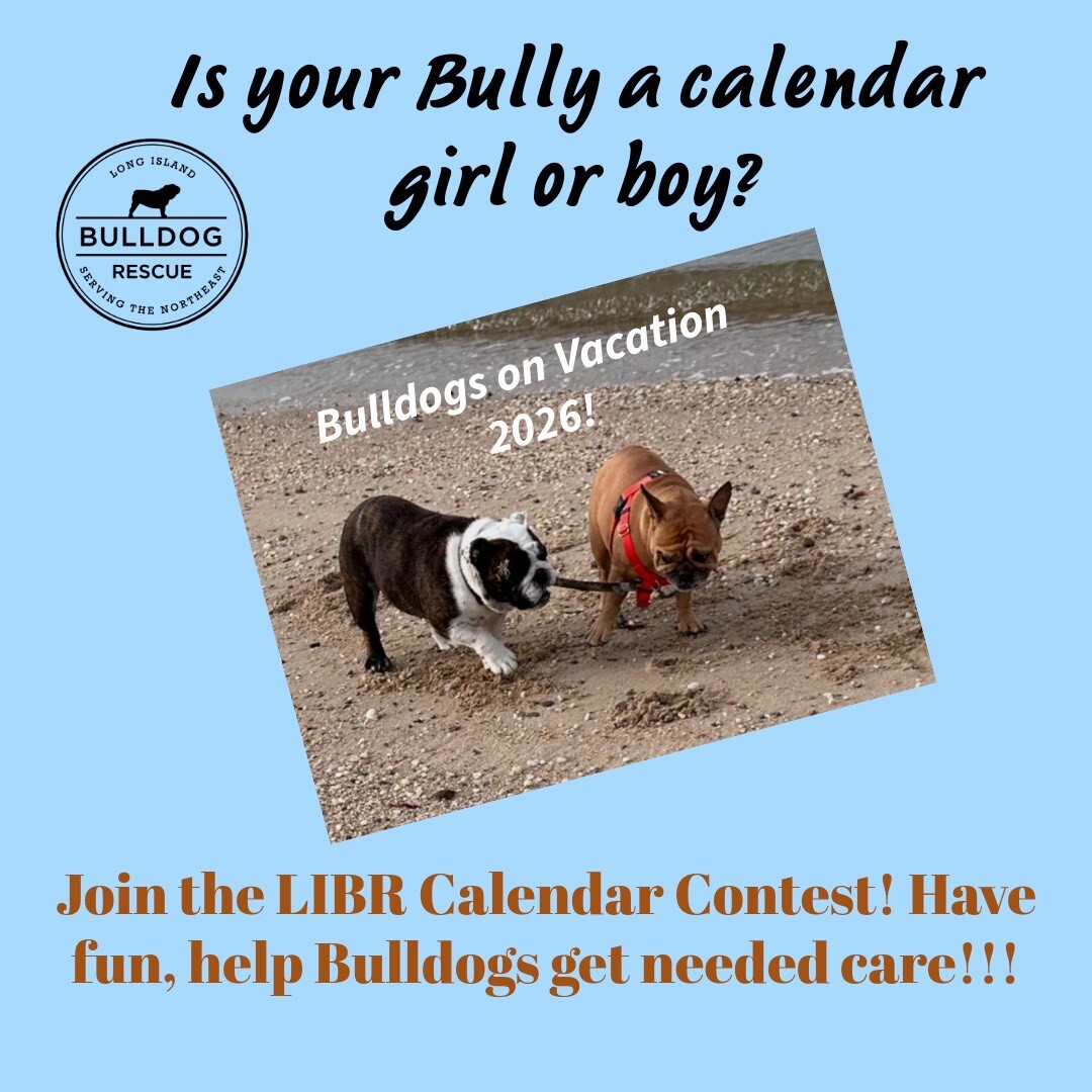 Banner for LIBR 2026 Calendar Contest