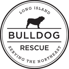 Logo for LIBR 2026 Calendar Contest