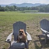 Entry image for Daisy