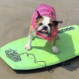 Entry image for Fefe