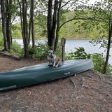 Entry image for George 