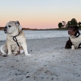 Entry image for Peaches and Fiona