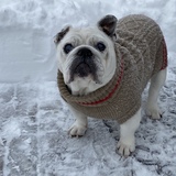 Entry image for Sophie