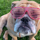 Entry image for Seamus