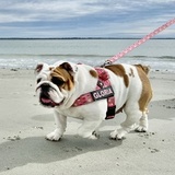 Entry image for Gloria