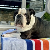 Entry image for Elizabeth Margaret Victoria