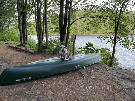 Entry image for George . Clicking this image will show a larger photo