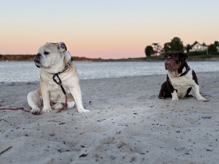 Entry image for Peaches and Fiona. Clicking this image will show a larger photo