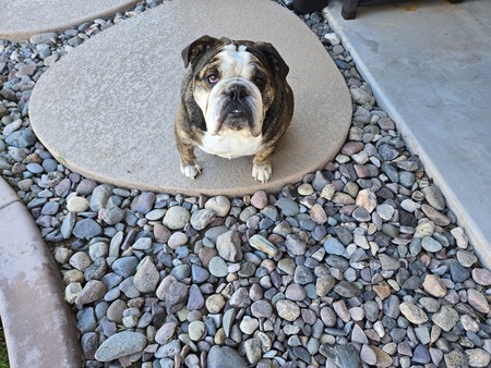 Entry image for Shane . Clicking this image will show a larger photo