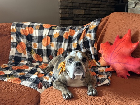 Entry image for Mya. Clicking this image will show a larger photo