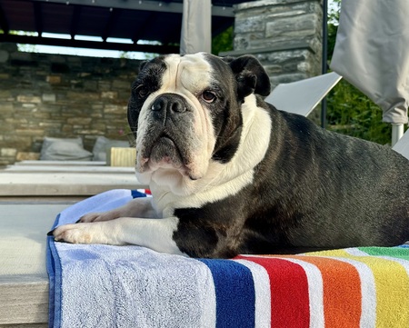 Entry image for Elizabeth Margaret Victoria. Clicking this image will show a larger photo