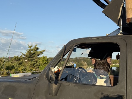 Entry image for Strahan . Clicking this image will show a larger photo