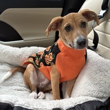 Entry image for Lulu 