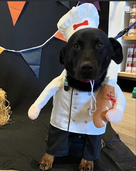 Entry image for Roscoe . Clicking this image will show a larger photo