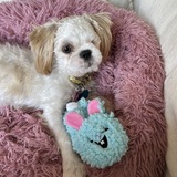 Entry image for Leela