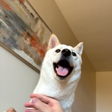 Entry image for Mochi 