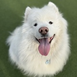 Entry image for Argos