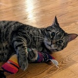 Entry image for Mister Butters