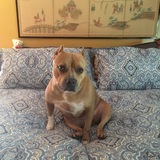 Entry image for Penny