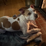 Entry image for Sasha