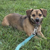 Entry image for Bannah