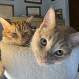 Entry image for Boots and Luke