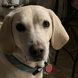 Entry image for Clark