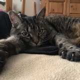 Entry image for Brea Clare Elizabeth