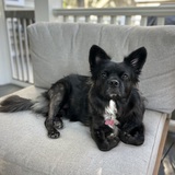 Entry image for Kenzie