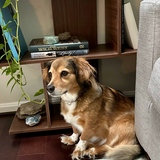 Entry image for Daisy