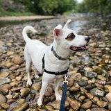 Entry image for Zero