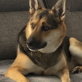 Entry image for Kobe