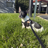 Entry image for Darth Vader