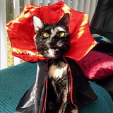 Entry image for Parker