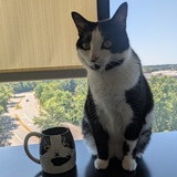 Entry image for Joplin