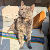 Entry image for Florence