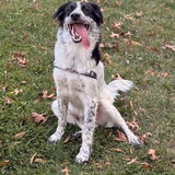 Entry image for Hatch