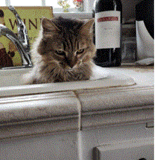 Entry image for Grasshopper