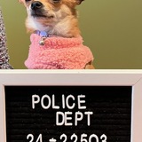 Entry image for Tinkerbell 